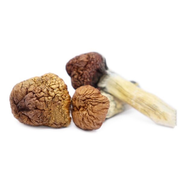 Buy Magic Mushrooms Online Alberta, where to buy magic mushrooms online Alberta,how to buy magic mushrooms online Alberta safely,buy shrooms near me Alberta